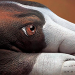 �� ���� ������