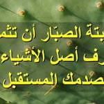 ����� �� ���� ������ �� ���� �� ������