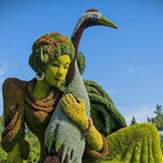 �� �� ���� �� ���� �������