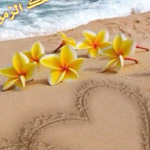 ������ ���� �� ���� ��� ������