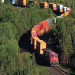 ���� ��� ����� ���� ���� ��� ����� �������� ������� �����