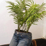 �� ��� ��� ������ ��