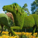 ���� �������