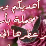 ���� �����