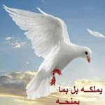 ����� ���� ����� ����� ���� ����� ������