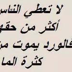 �� ���� ����� ���� �� ���� ������ ���� �� ���� �����