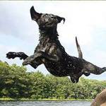 ����� ��� ��� ����:-)