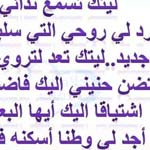 ���� ���� �����