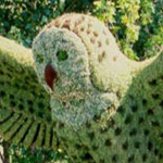 ���� ������ ������ �� �����