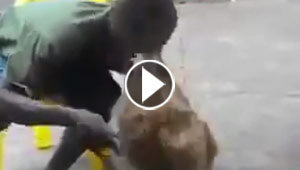بالفيديو.. كلب يعترض على صورة سيلفي ويقضم وجه صاحبه