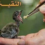 ������ �� ����� ��� ����