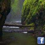 ����� ���� �� ���� �������