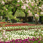 ���� ���� �� ���� ����� �������