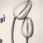 �� ������ �� �� ������� ���� ���� �� ...