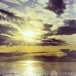 ���� ����� ������ �� ��� ������