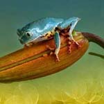 ���� ������� ������� ���� �� ������ ����� ����� �������