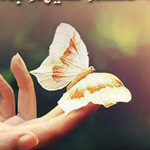 ���� �������