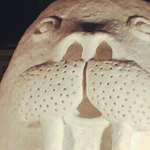 ��� ����� ����� �� ���