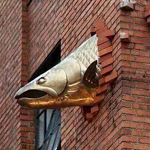 �� �����