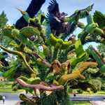 ���� ������ �� ��� ������