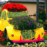 ������� ���� ������� �������� ����� ������