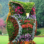 ���� ������� �� ������