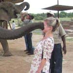 ���� ����