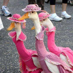 ��� ���� �� ���� �������