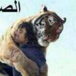 ������ ������