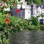 ���� ���� ��� ���� �����