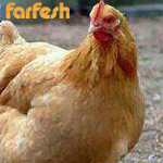 �� ���� ����� ������