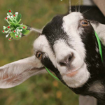 ����� �� �����