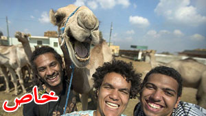 صور ثلاثة مصريين وصديقهم 