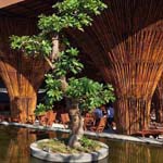 ���� ����