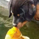 ���� �� �� ��� ���� ����� ��� ����