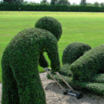 ���� ���� �� ����� ������