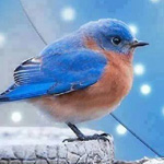 ���� .. ���� �� ���� ��� ������