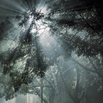 �� �� ���� �� ���� �����