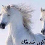 ����� �� ���� ������� ���� ���....