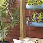 ���� ����� ������� ...�� �����