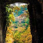 ���� �����