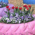 ���� �������� �������