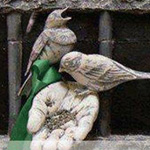 ������ ��� ���