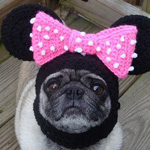 ���� ��� ������ ����