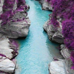 �� ���� ��� ��� ����