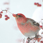 ���� ���� ����� �� ��� ���... ����