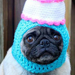 ���� ���� ������