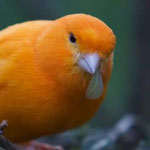 ���� �����.. �� ���