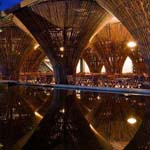 ���� ��� ���