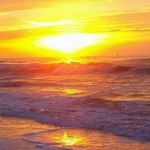 ���� ����� ������